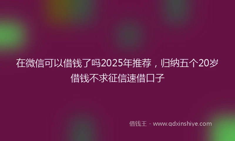 在微信可以借钱了吗2025年推荐，归纳五个20岁借钱不求征信速借口子
