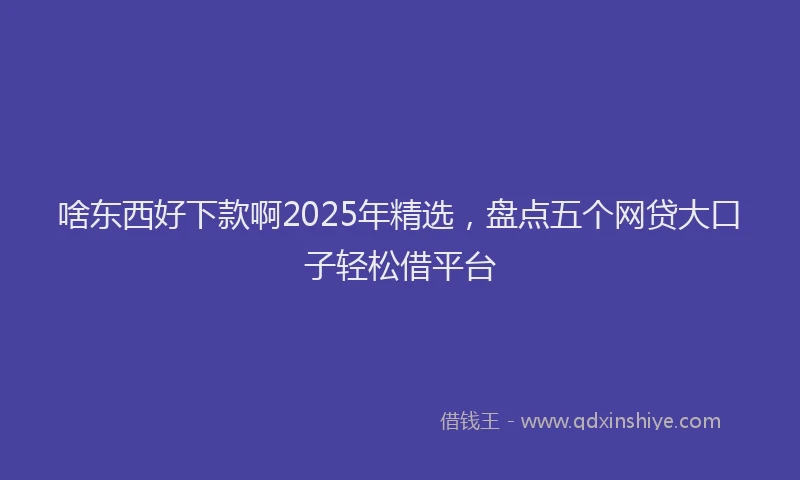 啥东西好下款啊2025年精选，盘点五个网贷大口子轻松借平台