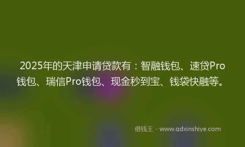 2025年的天津申请贷款有：智融钱包、速贷Pro钱包、瑞信Pro钱包、现金秒到宝、钱袋快融等。
