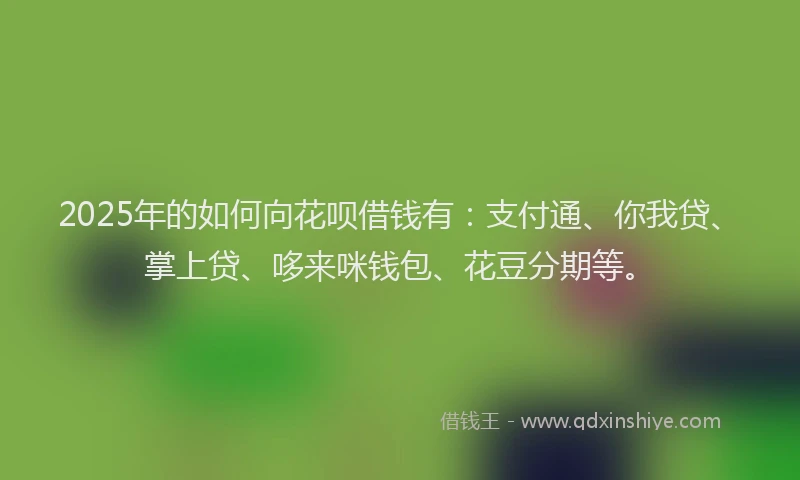 2025年的如何向花呗借钱有：支付通、你我贷、掌上贷、哆来咪钱包、花豆分期等。
