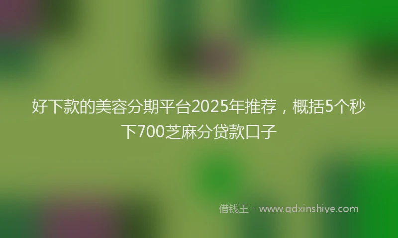 好下款的美容分期平台2025年推荐，概括5个秒下700芝麻分贷款口子