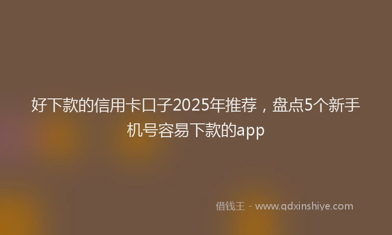 好下款的信用卡口子2025年推荐，盘点5个新手机号容易下款的app