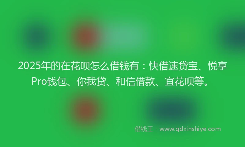 2025年的在花呗怎么借钱有：快借速贷宝、悦享Pro钱包、你我贷、和信借款、宜花呗等。