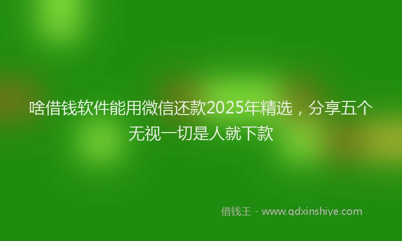 啥借钱软件能用微信还款2025年精选，分享五个无视一切是人就下款