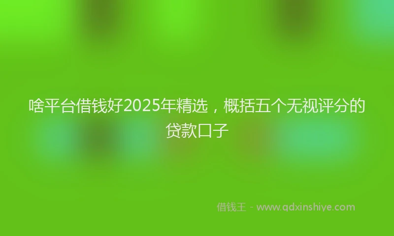 啥平台借钱好2025年精选，概括五个无视评分的贷款口子