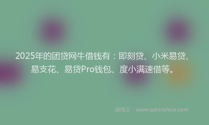 2025年的团贷网牛借钱有：即刻贷、小米易贷、易支花、易贷Pro钱包、度小满速借等。