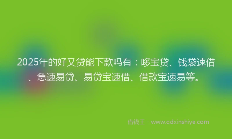 2025年的好又贷能下款吗有：哆宝贷、钱袋速借、急速易贷、易贷宝速借、借款宝速易等。