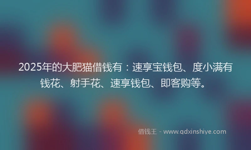 2025年的大肥猫借钱有：速享宝钱包、度小满有钱花、射手花、速享钱包、即客购等。