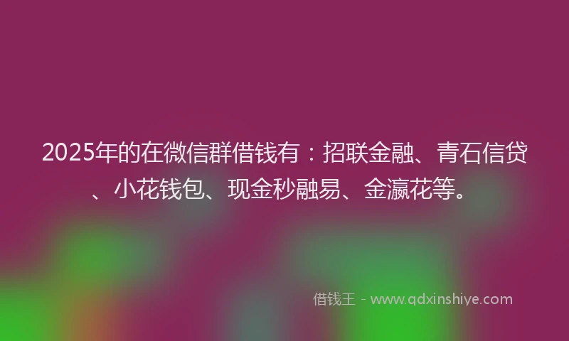 2025年的在微信群借钱有：招联金融、青石信贷、小花钱包、现金秒融易、金瀛花等。