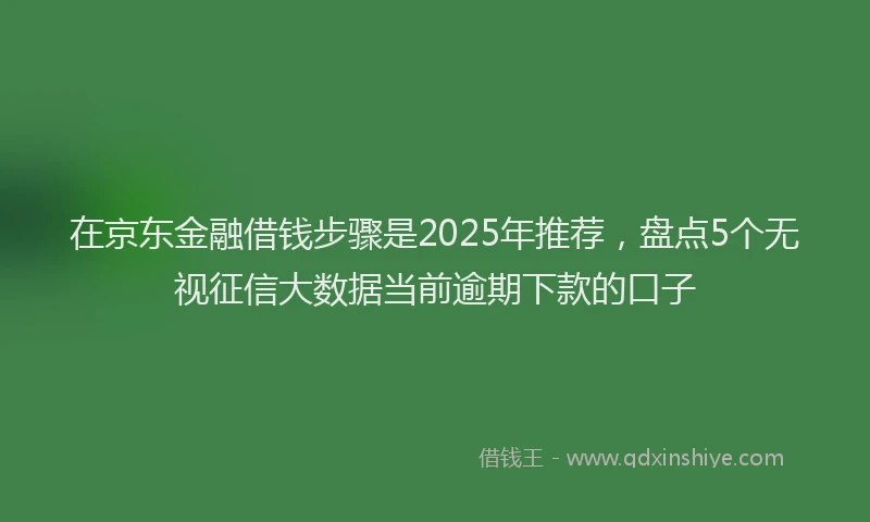在京东金融借钱步骤是2025年推荐，盘点5个无视征信大数据当前逾期下款的口子