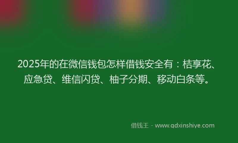 2025年的在微信钱包怎样借钱安全有：桔享花、应急贷、维信闪贷、柚子分期、移动白条等。