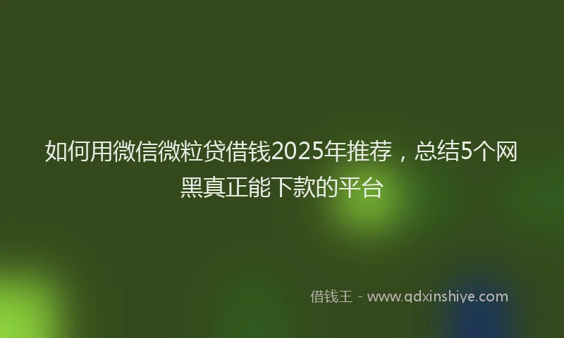如何用微信微粒贷借钱2025年推荐，总结5个网黑真正能下款的平台