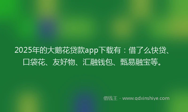 2025年的大鹅花贷款app下载有：借了么快贷、口袋花、友好物、汇融钱包、甄易融宝等。