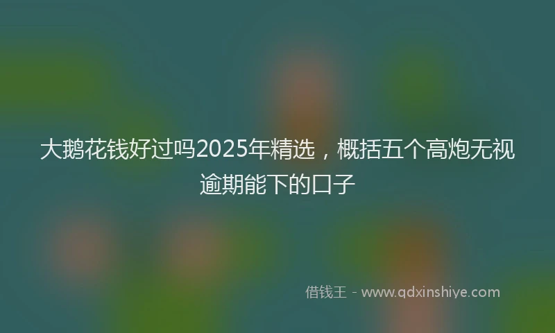 大鹅花钱好过吗2025年精选，概括五个高炮无视逾期能下的口子