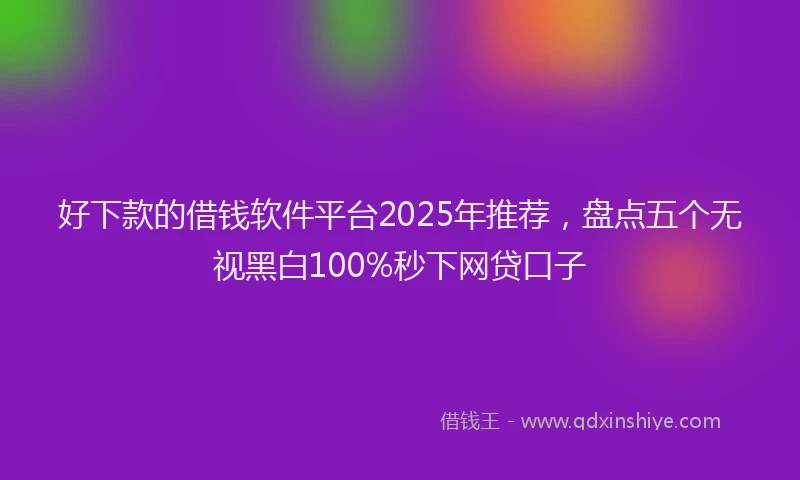 好下款的借钱软件平台2025年推荐，盘点五个无视黑白100%秒下网贷口子