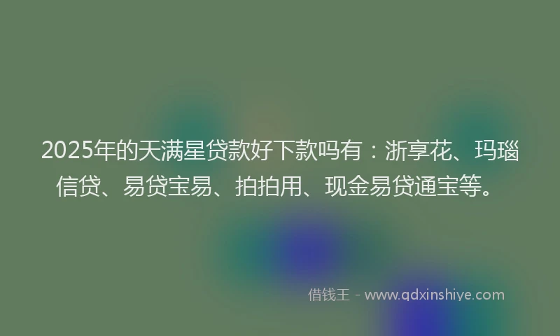 2025年的天满星贷款好下款吗有：浙享花、玛瑙信贷、易贷宝易、拍拍用、现金易贷通宝等。