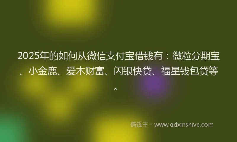 2025年的如何从微信支付宝借钱有：微粒分期宝、小金鹿、爱木财富、闪银快贷、福星钱包贷等。