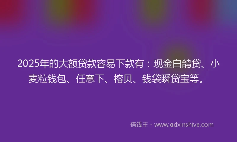 2025年的大额贷款容易下款有：现金白鸽贷、小麦粒钱包、任意下、榕贝、钱袋瞬贷宝等。