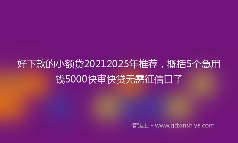好下款的小额贷20212025年推荐，概括5个急用钱5000快审快贷无需征信口子