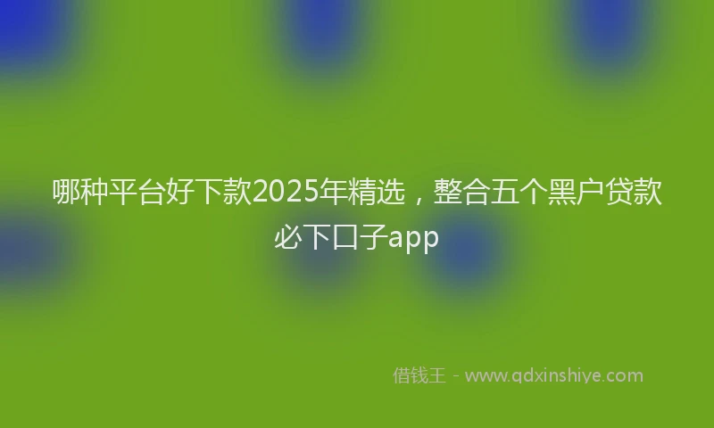 哪种平台好下款2025年精选，整合五个黑户贷款必下口子app