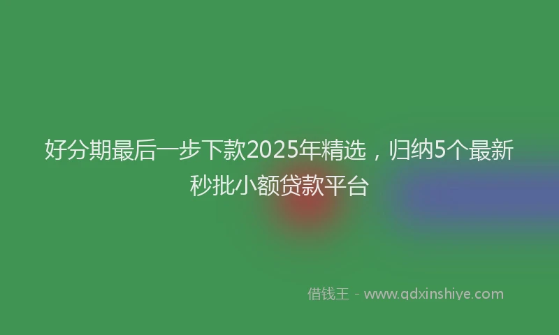 好分期最后一步下款2025年精选，归纳5个最新秒批小额贷款平台