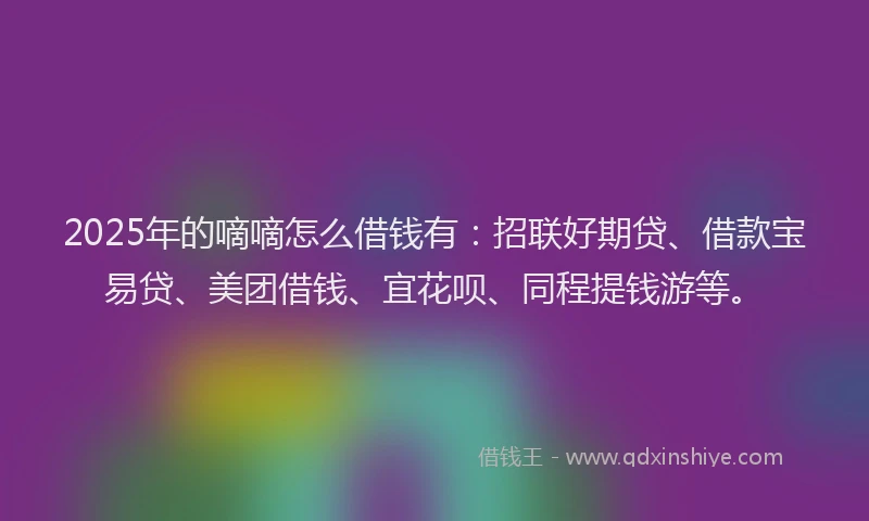 2025年的嘀嘀怎么借钱有：招联好期贷、借款宝易贷、美团借钱、宜花呗、同程提钱游等。