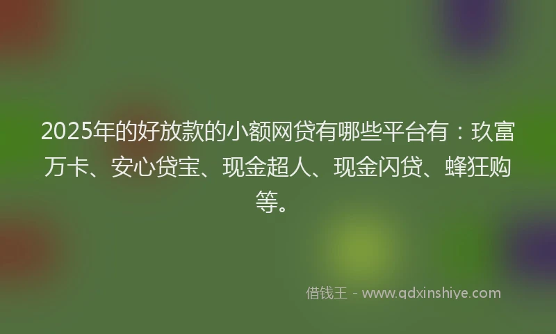 2025年的好放款的小额网贷有哪些平台有：玖富万卡、安心贷宝、现金超人、现金闪贷、蜂狂购等。