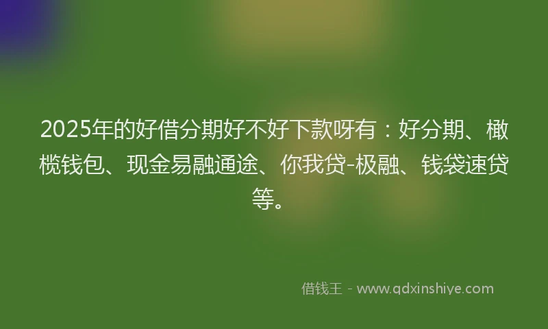 2025年的好借分期好不好下款呀有：好分期、橄榄钱包、现金易融通途、你我贷-极融、钱袋速贷等。