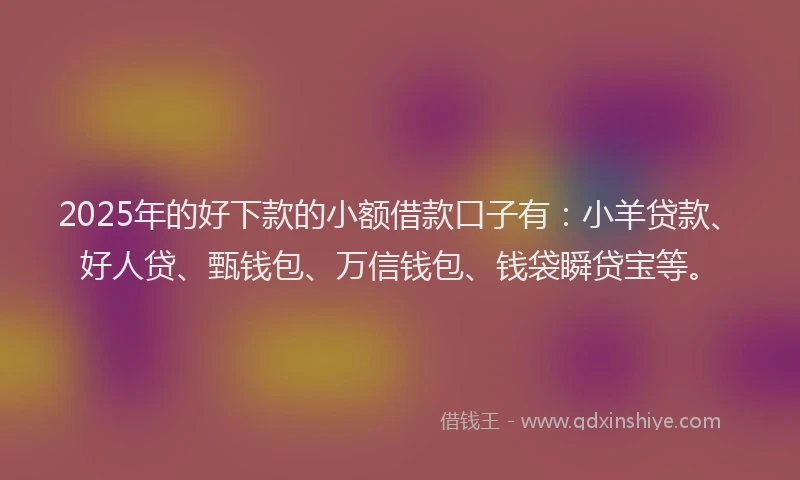 2025年的好下款的小额借款口子有：小羊贷款、好人贷、甄钱包、万信钱包、钱袋瞬贷宝等。