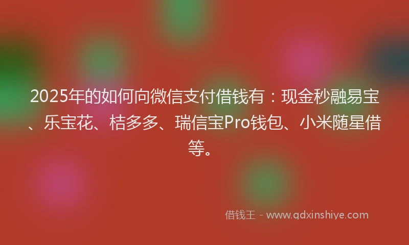 2025年的如何向微信支付借钱有：现金秒融易宝、乐宝花、桔多多、瑞信宝Pro钱包、小米随星借等。