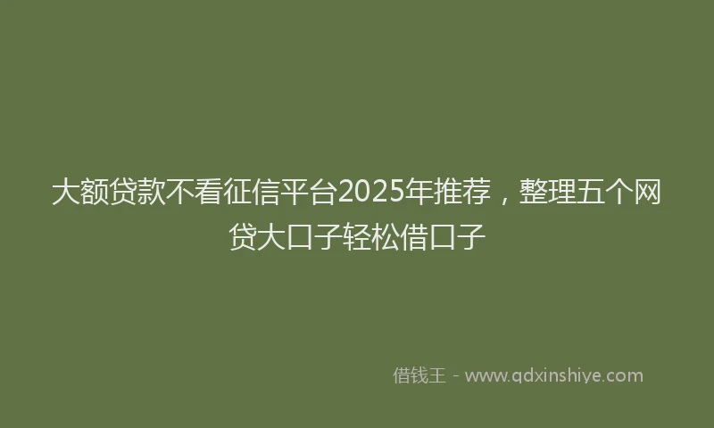 大额贷款不看征信平台2025年推荐，整理五个网贷大口子轻松借口子