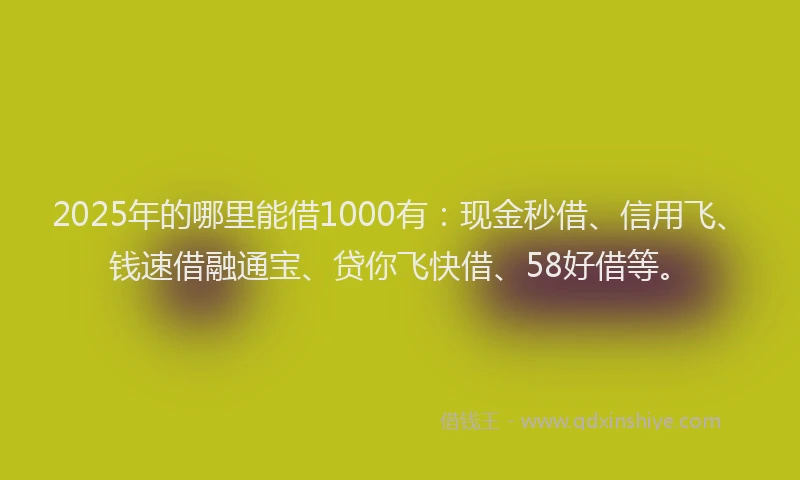 2025年的哪里能借1000有：现金秒借、信用飞、钱速借融通宝、贷你飞快借、58好借等。