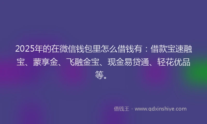2025年的在微信钱包里怎么借钱有：借款宝速融宝、蒙享金、飞融金宝、现金易贷通、轻花优品等。