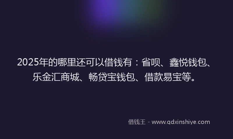 2025年的哪里还可以借钱有：省呗、鑫悦钱包、乐金汇商城、畅贷宝钱包、借款易宝等。