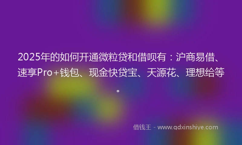2025年的如何开通微粒贷和借呗有：沪商易借、速享Pro+钱包、现金快贷宝、天源花、理想给等。