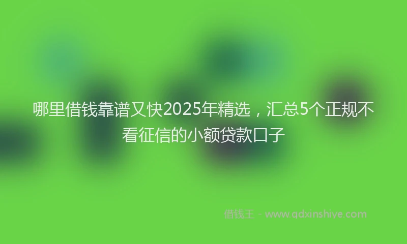 哪里借钱靠谱又快2025年精选，汇总5个正规不看征信的小额贷款口子