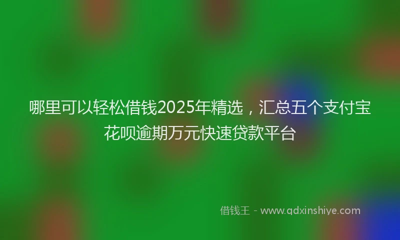 哪里可以轻松借钱2025年精选，汇总五个支付宝花呗逾期万元快速贷款平台