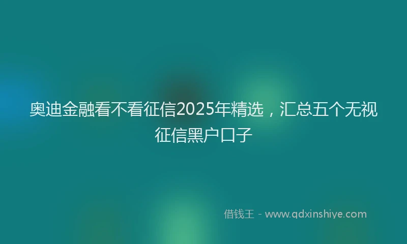 奥迪金融看不看征信2025年精选，汇总五个无视征信黑户口子