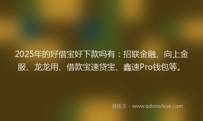 2025年的好借宝好下款吗有：招联金融、向上金服、龙龙用、借款宝速贷宝、鑫速Pro钱包等。