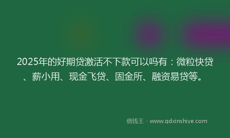 2025年的好期贷激活不下款可以吗有：微粒快贷、薪小用、现金飞贷、固金所、融资易贷等。