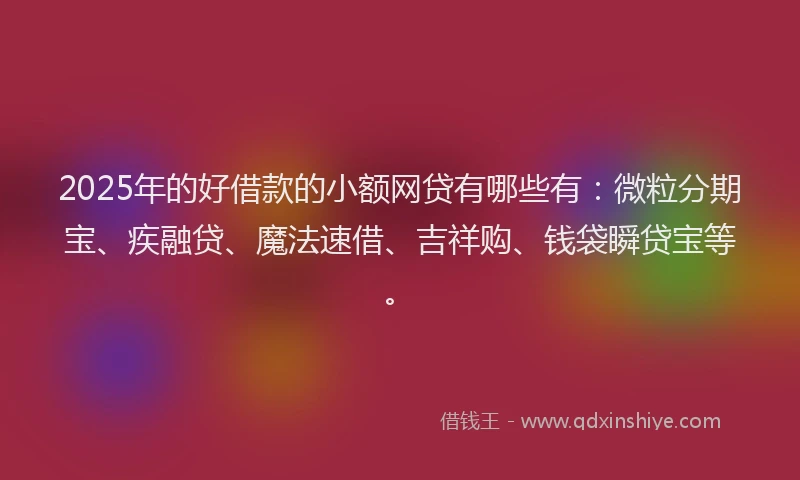 2025年的好借款的小额网贷有哪些有：微粒分期宝、疾融贷、魔法速借、吉祥购、钱袋瞬贷宝等。