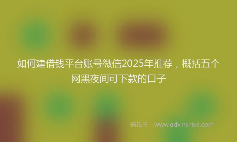 如何建借钱平台账号微信2025年推荐，概括五个网黑夜间可下款的口子