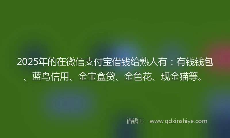 2025年的在微信支付宝借钱给熟人有：有钱钱包、蓝鸟信用、金宝盒贷、金色花、现金猫等。
