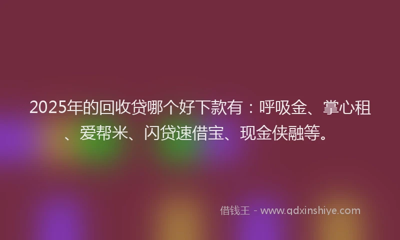 2025年的回收贷哪个好下款有：呼吸金、掌心租、爱帮米、闪贷速借宝、现金侠融等。