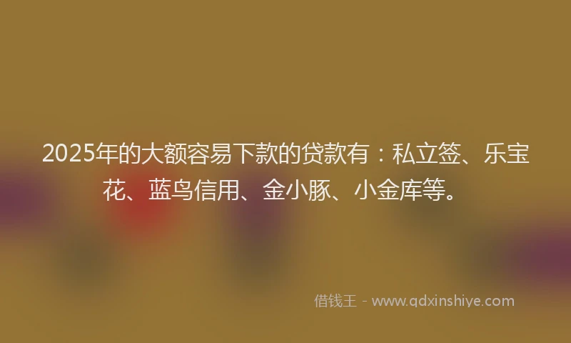 2025年的大额容易下款的贷款有：私立签、乐宝花、蓝鸟信用、金小豚、小金库等。