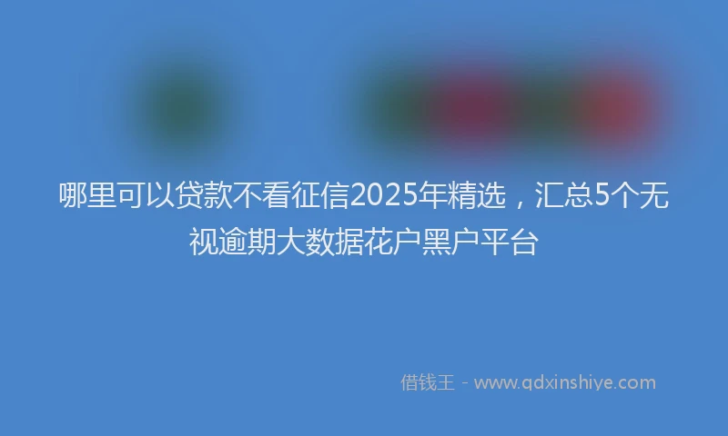 哪里可以贷款不看征信2025年精选，汇总5个无视逾期大数据花户黑户平台