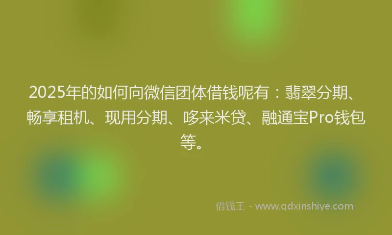2025年的如何向微信团体借钱呢有：翡翠分期、畅享租机、现用分期、哆来米贷、融通宝Pro钱包等。