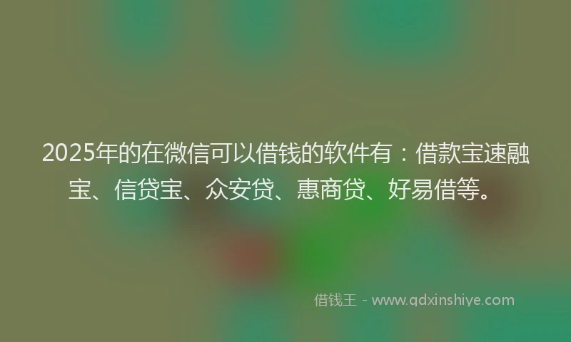 2025年的在微信可以借钱的软件有：借款宝速融宝、信贷宝、众安贷、惠商贷、好易借等。
