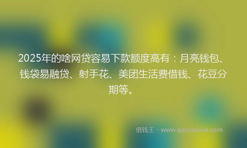 2025年的啥网贷容易下款额度高有：月亮钱包、钱袋易融贷、射手花、美团生活费借钱、花豆分期等。