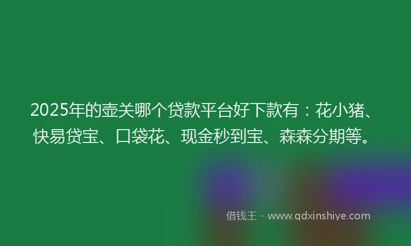 2025年的壶关哪个贷款平台好下款有：花小猪、快易贷宝、口袋花、现金秒到宝、森森分期等。